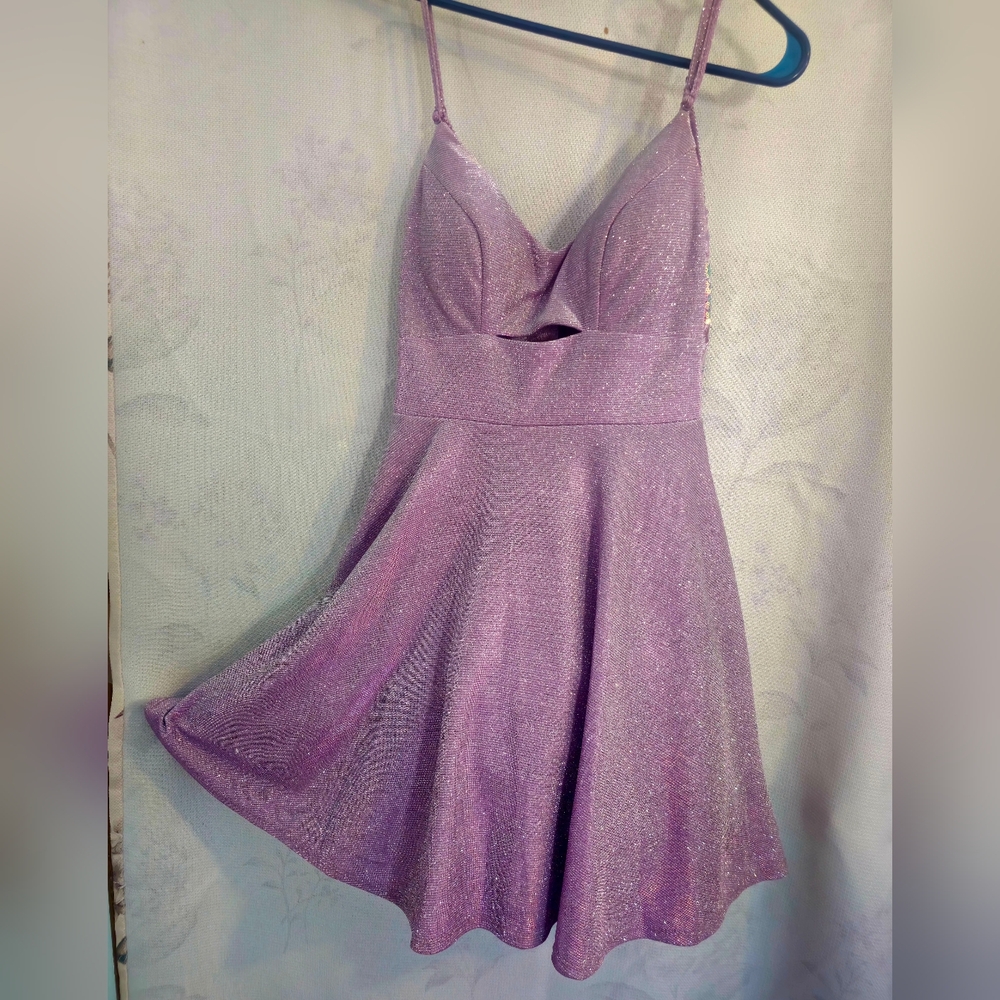 Sparkling Purple Dress
